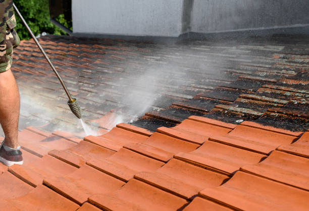 Best Roof Power Washing Services  in Grass Lake, MI