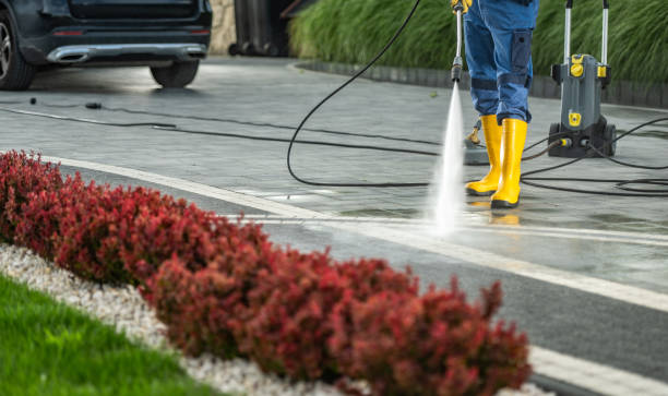 Best Pressure Washing Services Near Me  in Grass Lake, MI
