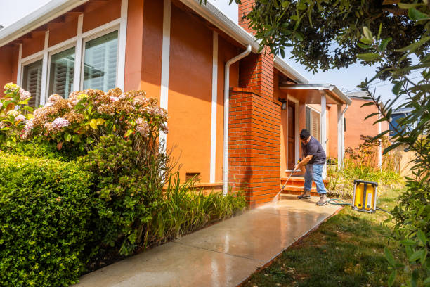 Best Deck Pressure Washing  in Grass Lake, MI