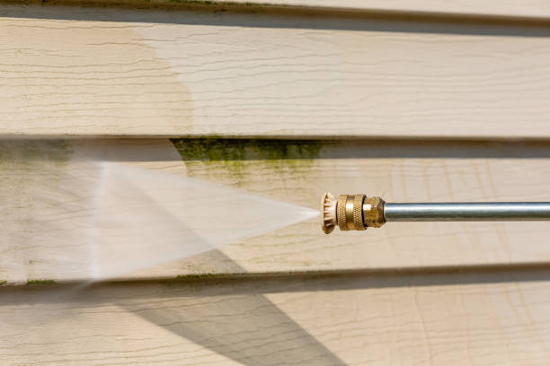 Best Deck Pressure Washing  in Grass Lake, MI