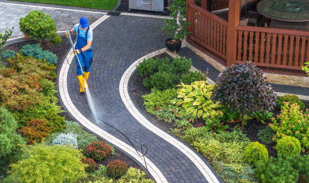 Best Deck Cleaning Services  in Grass Lake, MI